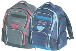 Athletic Backpack